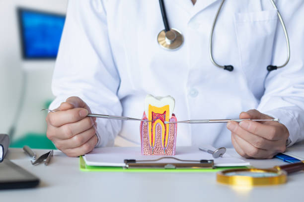 Best Emergency Treatment for Dental Infections or Abscesses in Kittitas, WA